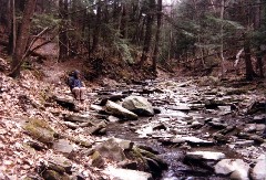 Ruth Bennett McDougal Dorrough; Hiking Day Trips Hi-Tor